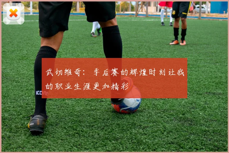 武切维奇：季后赛的辉煌时刻让我的职业生涯更加精彩