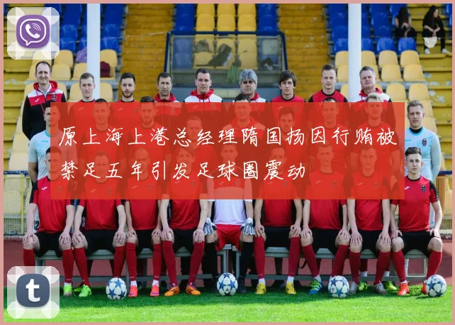 原上海上港总经理隋国扬因行贿被禁足五年引发足球圈震动