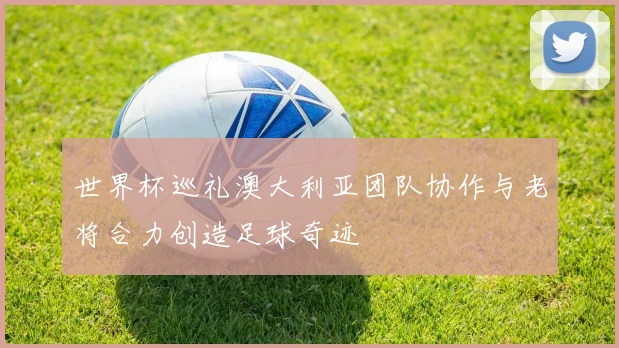 世界杯巡礼澳大利亚团队协作与老将合力创造足球奇迹