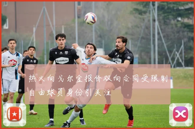热火向戈尔金报价双向合同受限制自由球员身份引关注